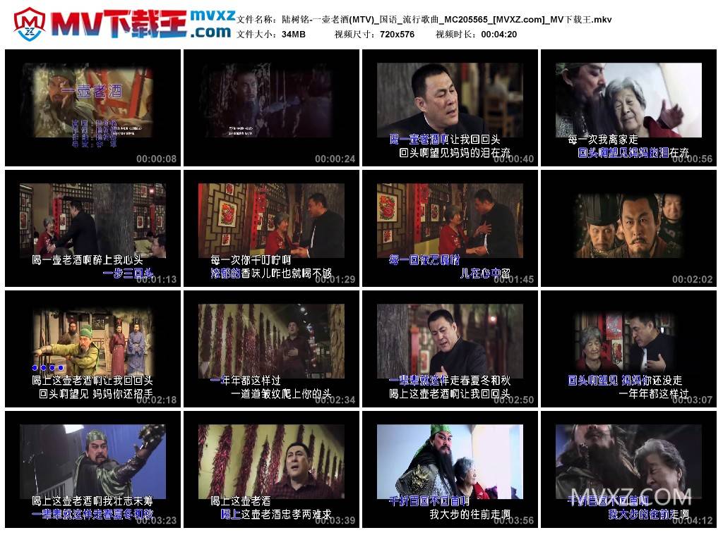 陆树铭-一壶老酒(MTV)_国语_流行歌曲_MC205565
